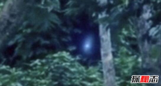 巴西亚马逊外星人事件，影片惊现奇异生物形似外星人933 / 作者:UFO爱好者 / 帖子ID:99196