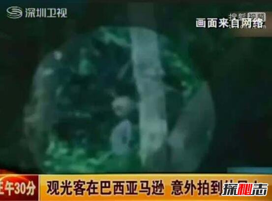 巴西亚马逊外星人事件，影片惊现奇异生物形似外星人394 / 作者:UFO爱好者 / 帖子ID:99196