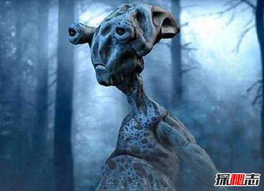 其实外星人就在月球背面，外星人在月球背面照片曝光574 / 作者:UFO爱好者 / 帖子ID:99113