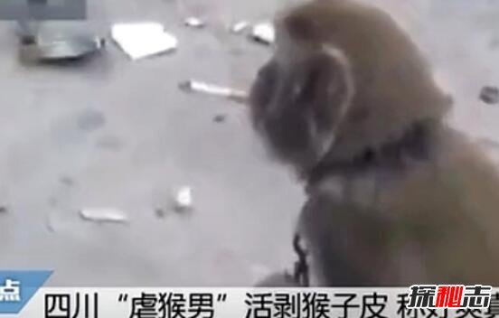 四川变态虐猴男事件 男子活剥猴皮群众竟围观叫好935 / 作者:UFO爱好者 / 帖子ID:105637