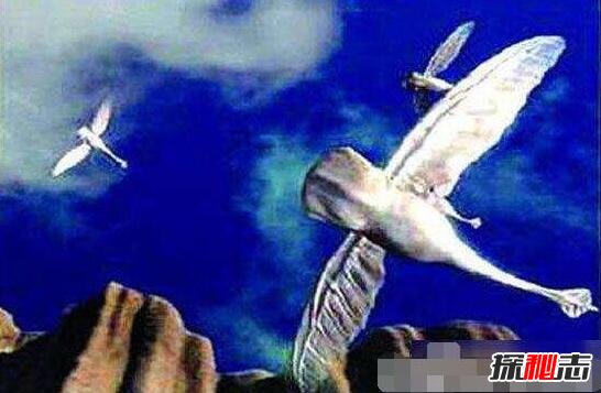 人类的第二地球奥里里亚，最适合人类生存的行星(有生命)51 / 作者:UFO爱好者 / 帖子ID:98964