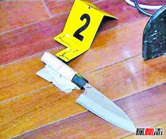 揭秘杨佳袭警案事件真相，6名警察殉职只因凶手性格偏激725 / 作者:UFO爱好者 / 帖子ID:104432