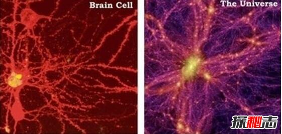 宇宙可能是巨人的细胞，多个细胞共同构成整个高维时空367 / 作者:UFO爱好者 / 帖子ID:98642