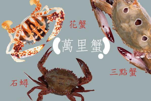 买螃蟹怎么挑选公母？全面教你如何选购螃蟹、吃螃蟹秘诀542 / 作者:UFO爱好者 / 帖子ID:67951