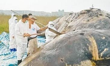 盘点自然界因人类导致的自然灾害 保护环境刻不容缓232 / 作者:UFO爱好者 / 帖子ID:67491