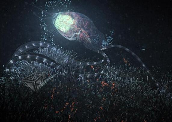 外星生物竟然长这样 趋同净化现象解读8 / 作者:UFO爱好者 / 帖子ID:86417