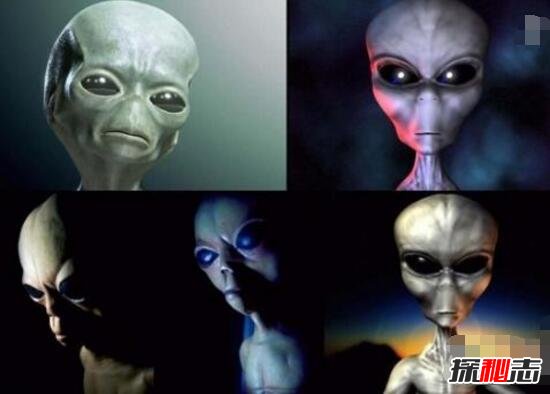 揭秘外星人隐居地球之谜 外星飞碟坠落(谣言)390 / 作者:UFO爱好者 / 帖子ID:97725