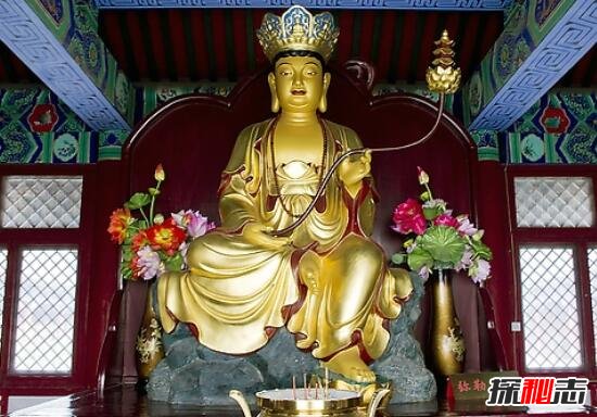 云南诡异佛像之谜，4.6级地震寺庙倒塌佛像屹立不倒(无解)590 / 作者:UFO爱好者 / 帖子ID:98989