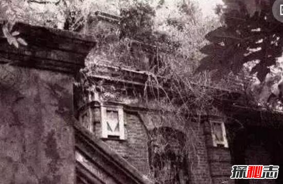 1956年上海林家宅37号神秘事件之谜 被无脑人灭门（小说）799 / 作者:UFO爱好者 / 帖子ID:98960