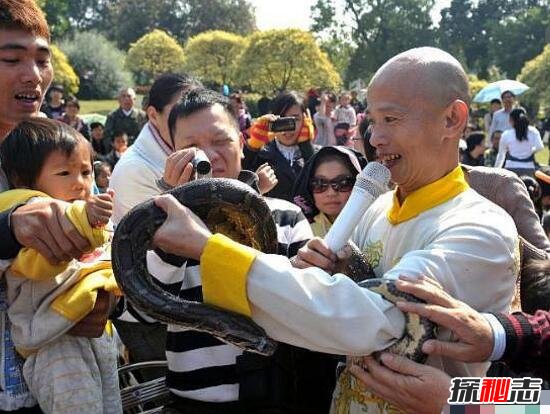 活吞毒蛇的人李韦心，生吞600条毒蛇/不吞毒蛇浑身难受566 / 作者:UFO爱好者 / 帖子ID:106404