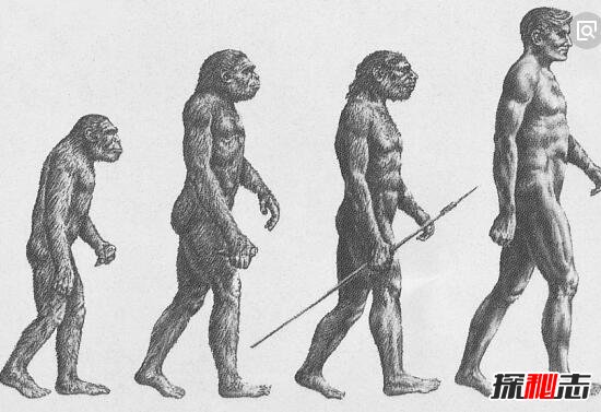 人类几千年后或产生新人种，身高2米的棕色巨人/基因突变159 / 作者:UFO爱好者 / 帖子ID:106340