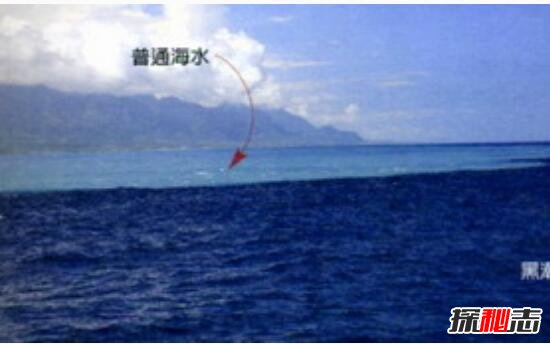 大西洋黑潮之谜，外星人隐居海底的证据(外星人海底基地)529 / 作者:UFO爱好者 / 帖子ID:98725