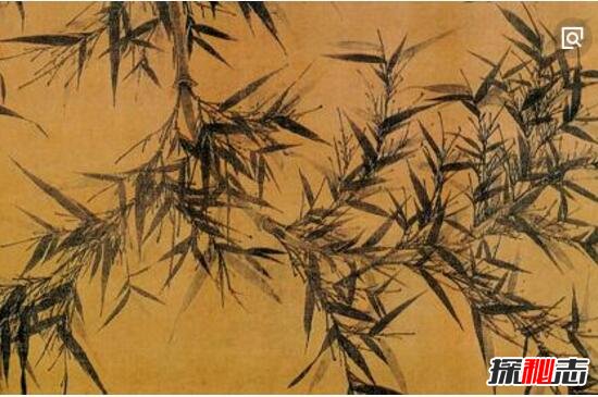 仁寿黑龙潭泼水现竹之谜，神奇石壁泼水惊现竹画(奇观)37 / 作者:UFO爱好者 / 帖子ID:98726