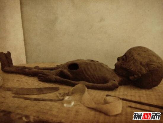 秘鲁神秘干尸，外星人的遗骸/外星人存在的实力证据(图片)495 / 作者:UFO爱好者 / 帖子ID:98707
