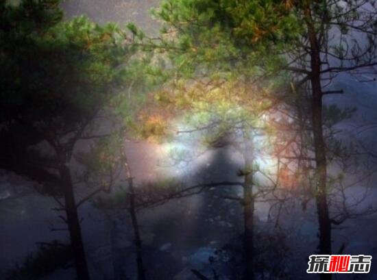庐山神灯之谜，庐山千年佛灯疑似佛祖显灵(自然现象)525 / 作者:UFO爱好者 / 帖子ID:98703