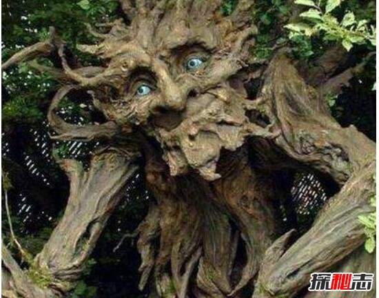 恐怖的吃人树奠柏，奠柏吃人是真的吗(虚构植物/图片)132 / 作者:UFO爱好者 / 帖子ID:106211