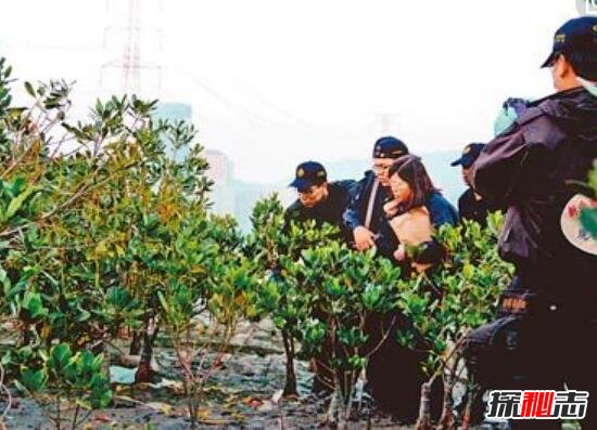 1985年香港宝马山双尸案 英国留学生被侵犯及乱棍打死914 / 作者:UFO爱好者 / 帖子ID:106127