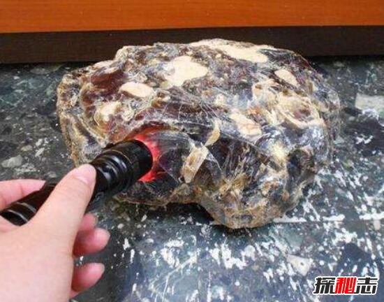 龙涎香是什么东西，深海动物抹香鲸分泌物(粪便/最贵香料)378 / 作者:UFO爱好者 / 帖子ID:105924