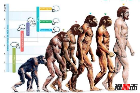 人类从何而来 人类被外星人流放到地球（网络谣言）408 / 作者:UFO爱好者 / 帖子ID:98498