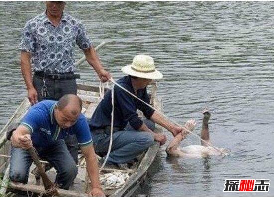 黄河捞尸人三捞三不捞禁忌 水中竖立的尸体不捞（封建迷信）253 / 作者:UFO爱好者 / 帖子ID:105831
