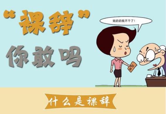 裸辞是什么意思？魄力+财力+才力=快乐裸辞，没下家不要裸辞176 / 作者:UFO爱好者 / 帖子ID:68846