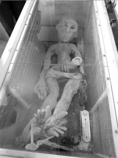 电死外星人? 警方:用钢丝骨胶制成/图792 / 作者:UFO爱好者 / 帖子ID:86379 电死外星人? 警方:用钢丝骨胶制成/图792 / 作者:UFO爱好者 / 帖子ID:86379