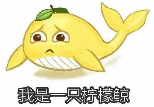 2020流行于网络最火的几句话 2020年网络流行语热词梗(持续补充)676 / 作者:UFO爱好者 / 帖子ID:67508