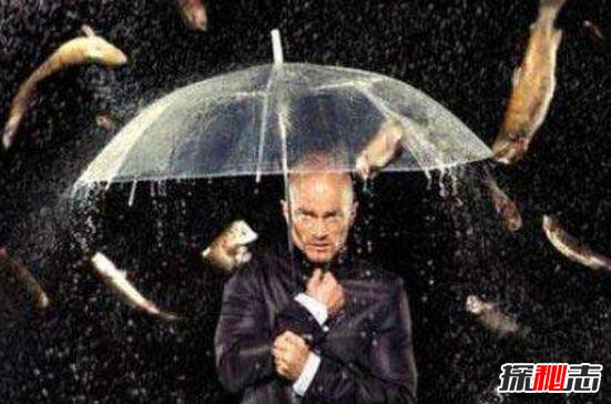 世间罕见奇怪的雨水，印度下血雨/蜘蛛雨/鱼雨(自然现象)980 / 作者:UFO爱好者 / 帖子ID:106265