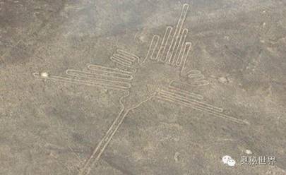 大地巨画之谜：人类的远古文明？595 / 作者:UFO爱好者 / 帖子ID:80345