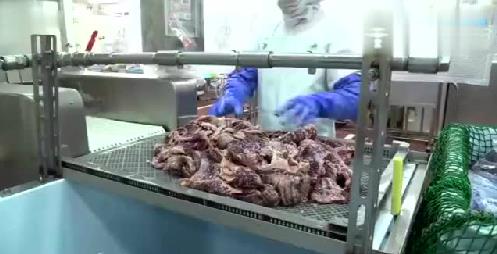 雪花牛肉价格相差巨大 如何鉴别假冒成雪花牛肉的注脂牛肉636 / 作者:UFO爱好者 / 帖子ID:69310