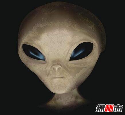 1973年帕斯卡古拉事件，外星人绑架人类自称保护地球104 / 作者:UFO爱好者 / 帖子ID:99041