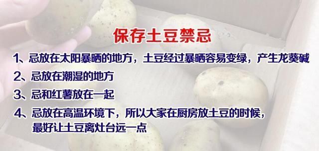 土豆发芽就不能吃了得扔掉？四种巧用发芽土豆的实用小妙招920 / 作者:UFO爱好者 / 帖子ID:67959