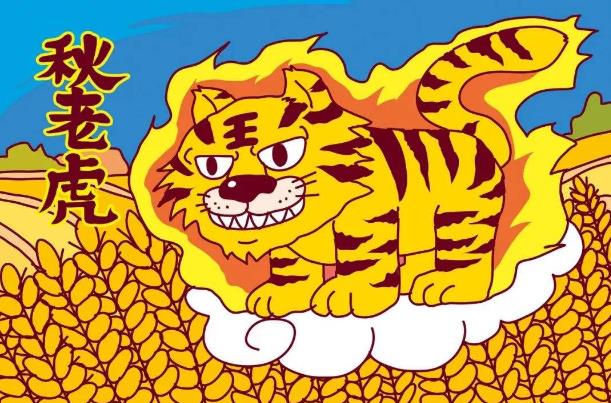 三伏天过后还要热多久 秋老虎到什么时候还能热多少天577 / 作者:UFO爱好者 / 帖子ID:67264