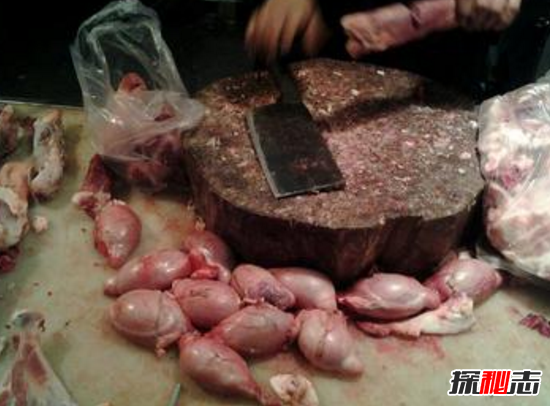 鸡睾丸的功效很神奇，女吃美容养颜男吃补肾壮阳793 / 作者:UFO爱好者 / 帖子ID:106166