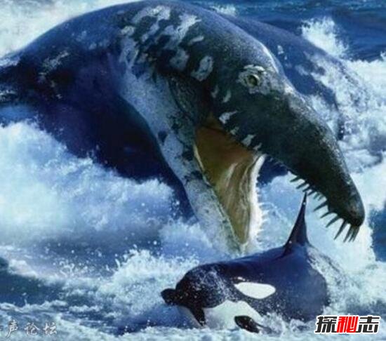 最恐怖的海洋生物滑齿龙，靠敏锐嗅觉捕杀猎物(善于突袭)514 / 作者:UFO爱好者 / 帖子ID:106038