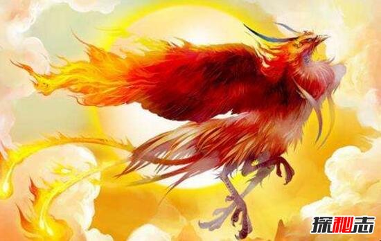 传说中吃龙的上古神兽重明鸟，山海经中最尊贵异兽(双瞳)662 / 作者:UFO爱好者 / 帖子ID:104466