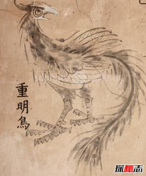 传说中吃龙的上古神兽重明鸟，山海经中最尊贵异兽(双瞳)490 / 作者:UFO爱好者 / 帖子ID:104466