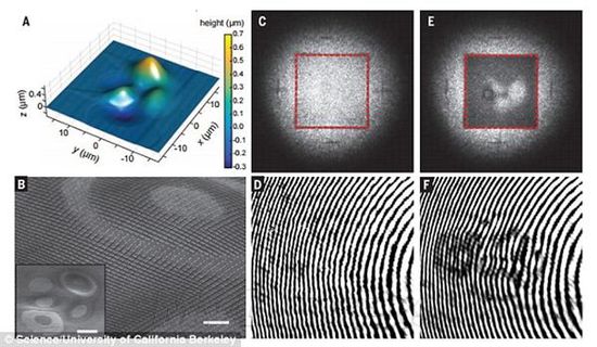 科学家让隐形离我们越来越近629 / 作者:UFO爱好者 / 帖子ID:73937
