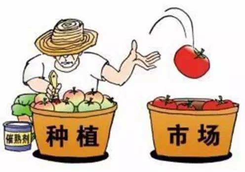 化学催熟的水果有害吗？专家教你辨别化学催熟、药水浸泡的水果446 / 作者:UFO爱好者 / 帖子ID:69080