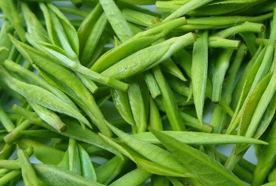 拆封后的绿茶茶叶如何存放？保存绿茶的禁忌与注意事项756 / 作者:UFO爱好者 / 帖子ID:68613