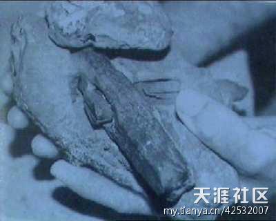 999未解之谜(3)201-300921 / 作者:UFO爱好者 / 帖子ID:86279 999未解之谜(3)201-300921 / 作者:UFO爱好者 / 帖子ID:86279