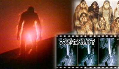 全球十大神秘怪兽迷踪盘点936 / 作者:UFO爱好者 / 帖子ID:88283