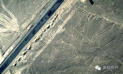 大地巨画之谜：人类的远古文明？851 / 作者:UFO爱好者 / 帖子ID:80345