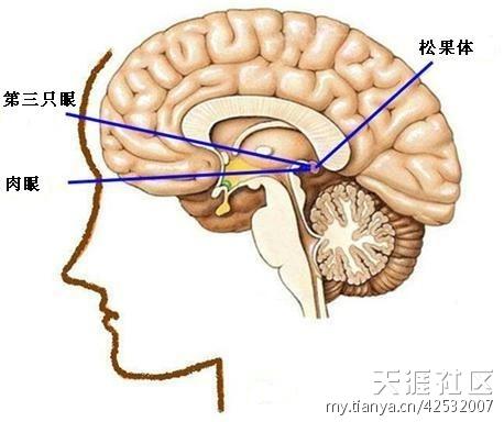 999个世界未解之谜(8)701-789谜791 / 作者:UFO爱好者 / 帖子ID:83400 999个世界未解之谜(8)701-789谜791 / 作者:UFO爱好者 / 帖子ID:83400