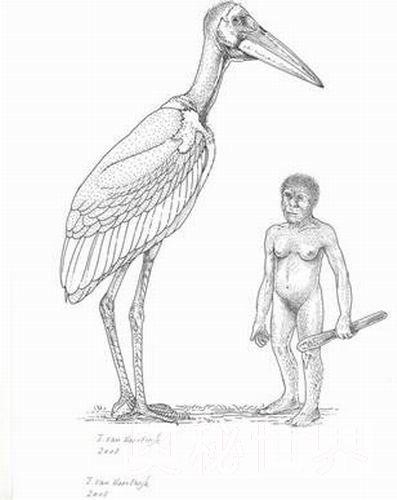 盘点10大最怪诞的科学发现155 / 作者:UFO爱好者 / 帖子ID:86269