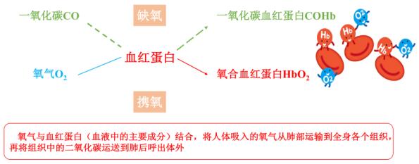 手术前为什么一定要戒烟？这些麻醉常识要了解867 / 作者:UFO爱好者 / 帖子ID:68100