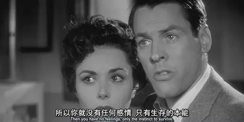 什么样的外星人可以直接打死？241 / 作者:UFO爱好者 / 帖子ID:68390