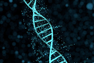 DNA独特结构能参与基因组调节919 / 作者:UFO爱好者 / 帖子ID:71479 DNA独特结构能参与基因组调节919 / 作者:UFO爱好者 / 帖子ID:71479