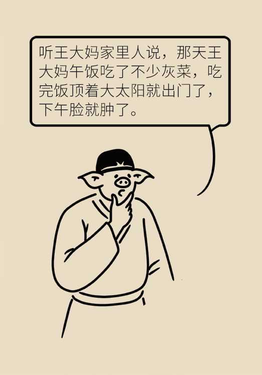 错食野菜被送进医院！这些野菜“安全”原则要遵守78 / 作者:UFO爱好者 / 帖子ID:72039