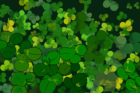 《诗经》里的植物——荇菜587 / 作者:UFO爱好者 / 帖子ID:71546